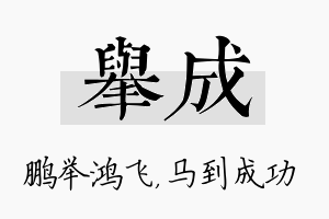 举成名字的寓意及含义