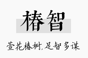 椿智名字的寓意及含义