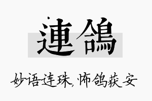 连鸽名字的寓意及含义