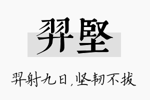 羿坚名字的寓意及含义