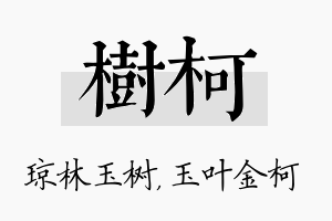 树柯名字的寓意及含义