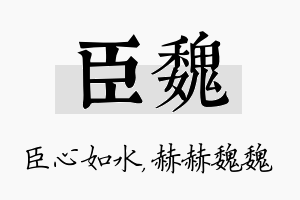 臣魏名字的寓意及含义