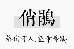 俏鹃名字的寓意及含义