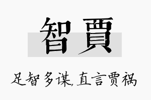 智贾名字的寓意及含义