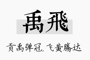 禹飞名字的寓意及含义