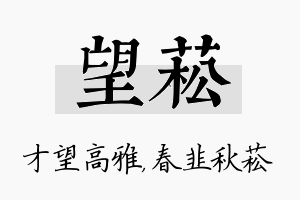 望菘名字的寓意及含义