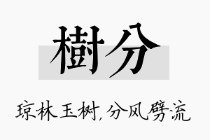 树分名字的寓意及含义