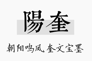 阳奎名字的寓意及含义