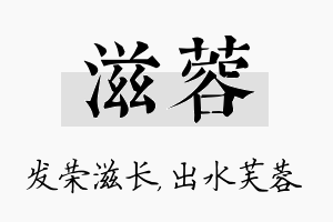 滋蓉名字的寓意及含义