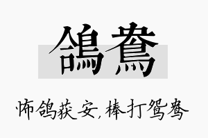 鸽鸯名字的寓意及含义