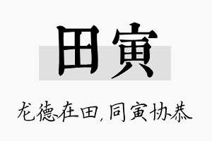 田寅名字的寓意及含义