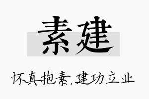 素建名字的寓意及含义