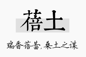 蓓土名字的寓意及含义