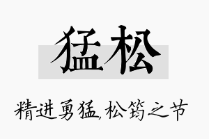 猛松名字的寓意及含义