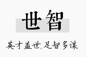 世智名字的寓意及含义