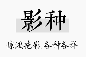 影种名字的寓意及含义