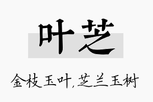 叶芝名字的寓意及含义