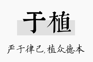 于植名字的寓意及含义