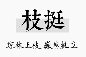 枝挺名字的寓意及含义