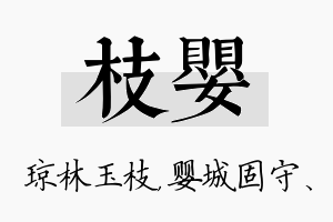 枝婴名字的寓意及含义