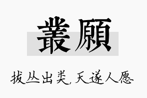 丛愿名字的寓意及含义