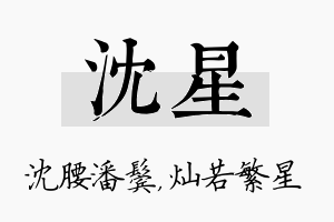 沈星名字的寓意及含义