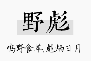 野彪名字的寓意及含义