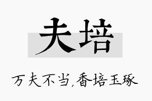 夫培名字的寓意及含义