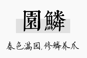 园鳞名字的寓意及含义