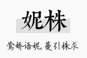 妮株名字的寓意及含义