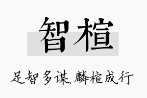 智楦名字的寓意及含义