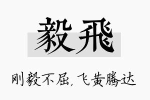 毅飞名字的寓意及含义