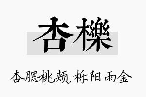 杏栎名字的寓意及含义