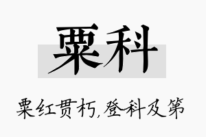 粟科名字的寓意及含义