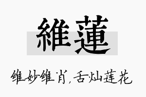 维莲名字的寓意及含义