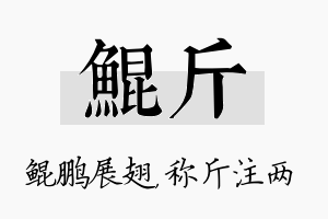 鲲斤名字的寓意及含义