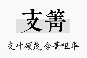 支箐名字的寓意及含义