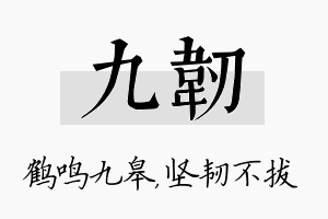 九韧名字的寓意及含义