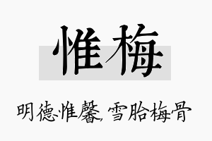 惟梅名字的寓意及含义