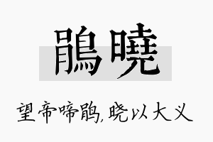 鹃晓名字的寓意及含义