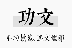 功文名字的寓意及含义