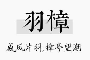 羽樟名字的寓意及含义