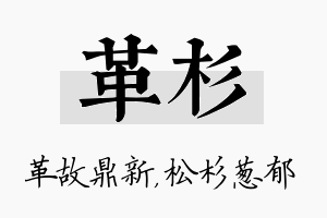 革杉名字的寓意及含义