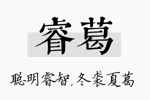 睿葛名字的寓意及含义