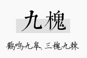 九槐名字的寓意及含义