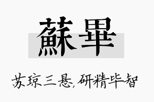 苏毕名字的寓意及含义