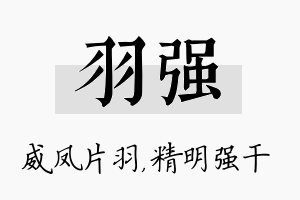 羽强名字的寓意及含义