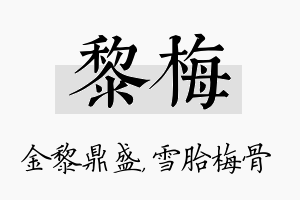 黎梅名字的寓意及含义