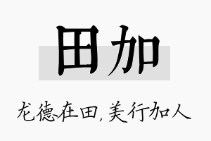 田加名字的寓意及含义