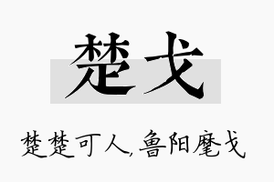 楚戈名字的寓意及含义